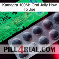 Kamagra 100Mg Oral Jelly How To Use new04